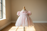 Will'beth Girls Pink Sheer Overlay Rose Smocked Dress with Bonnet Preemie Newborn 3 6 9 Months