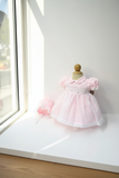 Will'beth Girls Pink Sheer Overlay Rose Smocked Dress with Bonnet Preemie Newborn 3 6 9 Months