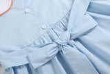 Light Blue Pumpkin Vine Smocked Dress